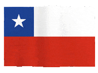 MeltdownFlags flag chile climate change climate Sticker