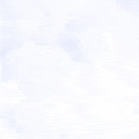 Election 2020 Every Vote Counts GIF by Creative Courage