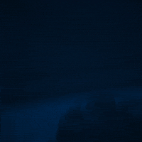 Hockey We Stand GIF by Columbus Blue Jackets