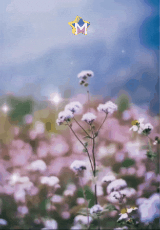 Sol Abrir GIF by Murcianys LLC