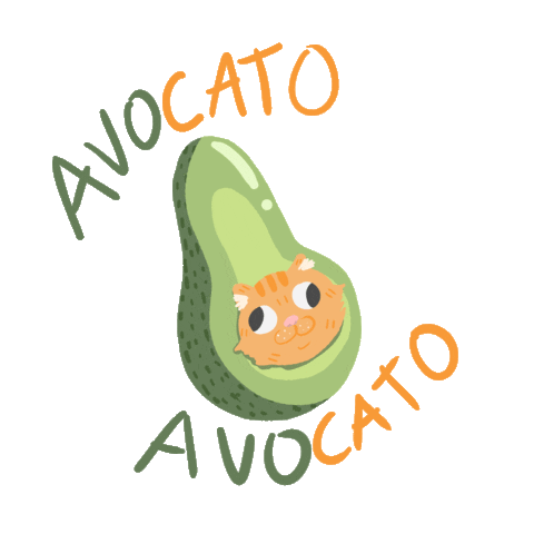 bamberino cat fruit avocado salad Sticker