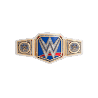 Championship Belt Sport Sticker by WWE