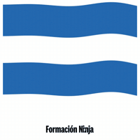 Bandera GIF by Formación Ninja