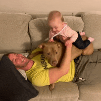 Dogs And Babies GIF by Hopkins Wrestling