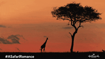 Giraffe GIF by Hallmark Channel