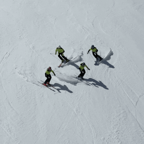 neveitalia giphyupload winter skier neveitalia GIF