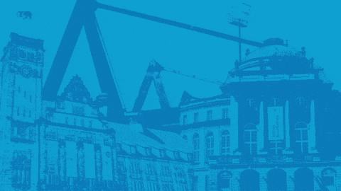 Football Cfc GIF by ChemnitzerFC