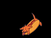La_Ardillin dog bread hotdog dachshund GIF