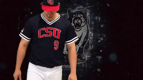 GIF by Columbus State University Athletics