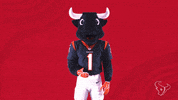 Scared Nfl GIF by Houston Texans