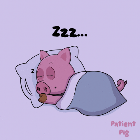 Sleepy GIF by VeeFriends