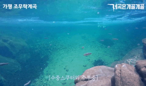 llllllsss giphyupload GIF