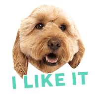 Dogs Love Sticker by FuzzYard