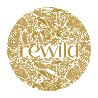 Rewild Sticker by Anita Dongre