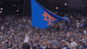 Citi Field Baseball GIF by New York Mets