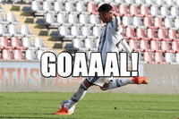 Celebration Goal GIF by JuventusFC