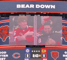 Chicago Blackhawks GIF