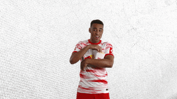 Happy Football GIF by RB Leipzig