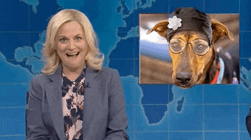 Parks And Rec Snl GIF by Saturday Night Live