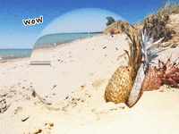 Germany Wow GIF by FranchiseONE.de