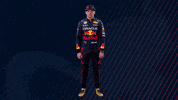 Ver Red Bull GIF by Oracle Red Bull Racing