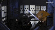 Star Wars Hamsters GIF by Mashable