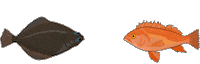 Fish Fishing Sticker by Positively Groundfish