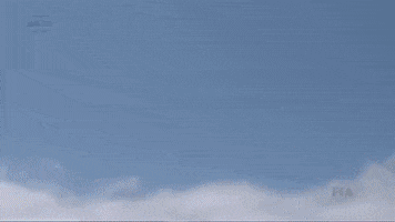 honda lol GIF by Tom Coronel