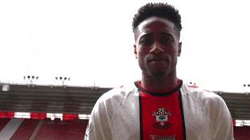 Premier League Football GIF by Southampton FC