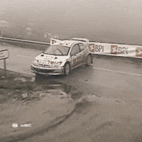 Motorsport Drifting GIF by FIA World Rally Championship