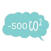 fashion moda Sticker by Chicfy