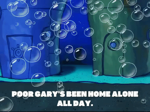 season 7 keep bikini bottom beautiful GIF by SpongeBob SquarePants