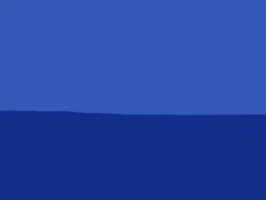 Crocodile Sneak GIF by Barbara Pozzi