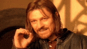 Cannot Lord Of The Rings GIF