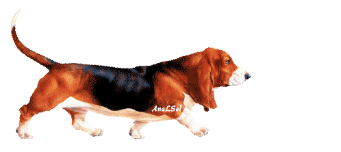 perro STICKER