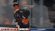Happy Anaheim Ducks GIF by NHL