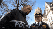 Season 19 Nbc GIF by Law & Order