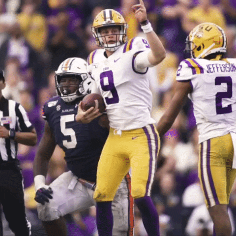Ncaa Football GIF by LSU Tigers