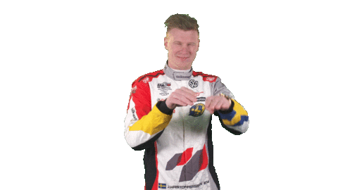 touring car celebration Sticker by FIA WTCR
