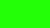 Green Screen Elephant GIF