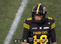 Tiger-Cats Cats GIF