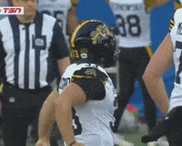 Cats Celebrate GIF
