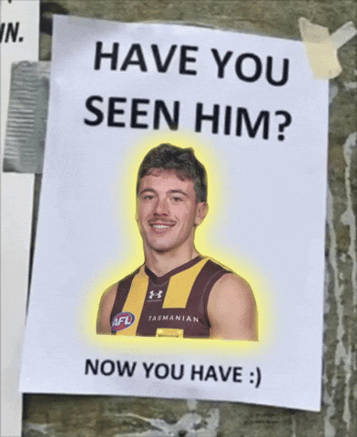 Afl Hawks GIF
