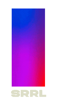 Henrique E Juliano Brasilia Sticker by Festival Surreal