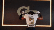 Georgia Tech Football Sport GIF by Georgia Tech Yellow Jackets