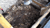 Food Trash GIF by Common Ground Compost