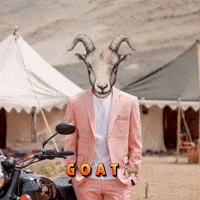 Roadies GIF