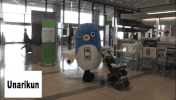 japan fly GIF
