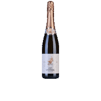 Bubbles Sparkling Sticker by Weingut Stadt Krems