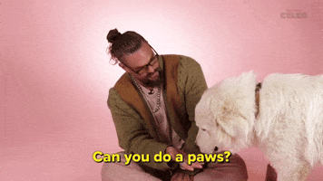 Can You Do a Paws?